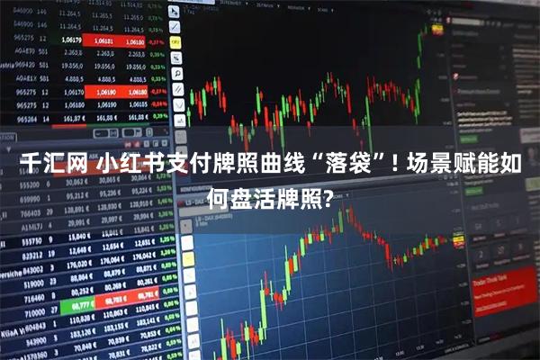 千汇网 小红书支付牌照曲线“落袋”! 场景赋能如何盘活牌照?