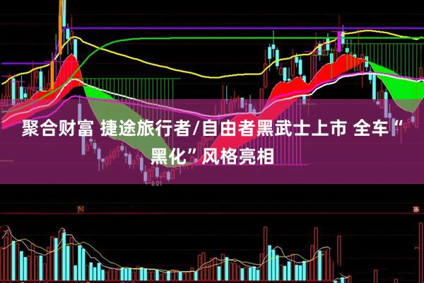 聚合财富 捷途旅行者/自由者黑武士上市 全车“黑化”风格亮相