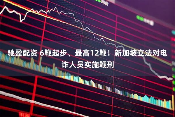 驰盈配资 6鞭起步、最高12鞭！新加坡立法对电诈人员实施鞭刑