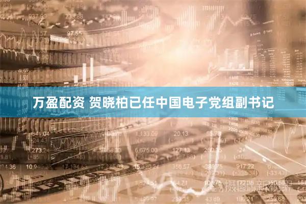 万盈配资 贺晓柏已任中国电子党组副书记